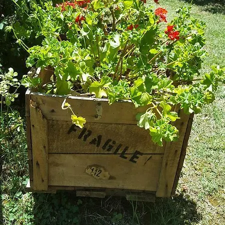 La Rosa Antica Gradara