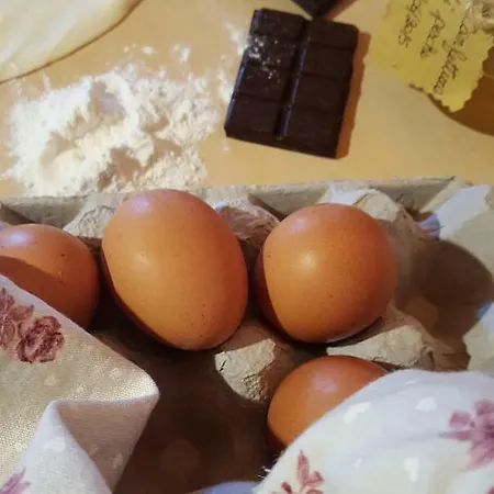 La Rosa Antica Bed and Breakfast