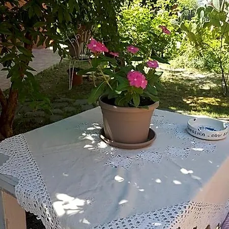 Bed and breakfast La Rosa Antica