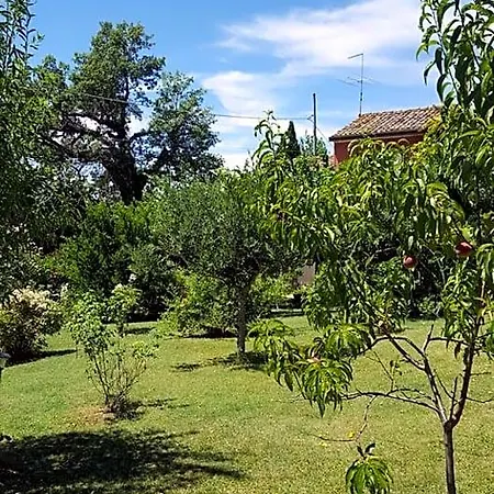 La Rosa Antica 3* Gradara