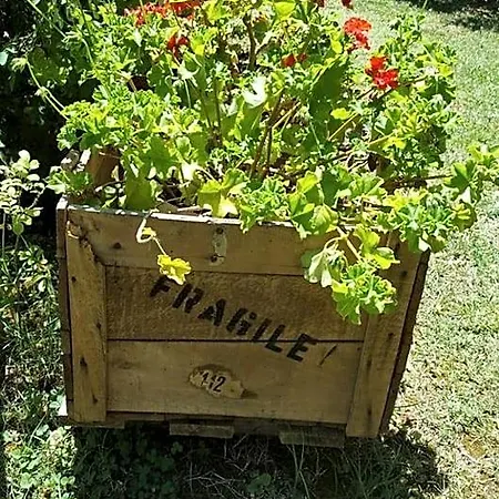 La Rosa Antica Panzió