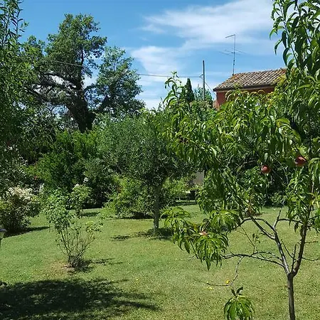 La Rosa Antica