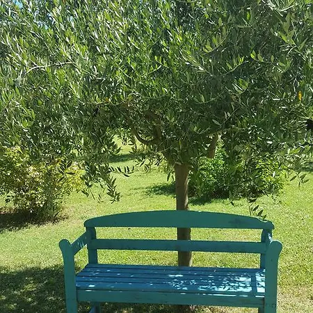 La Rosa Antica *