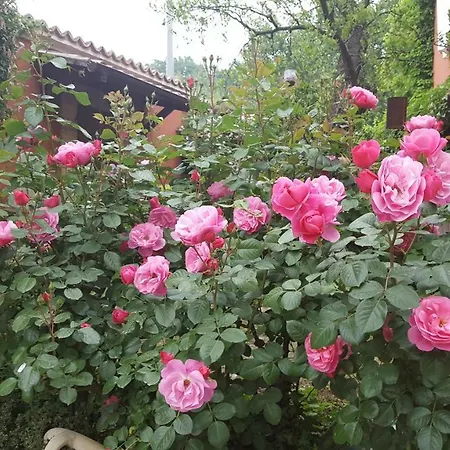 La Rosa Antica ベッド・アンド・ブレックファスト