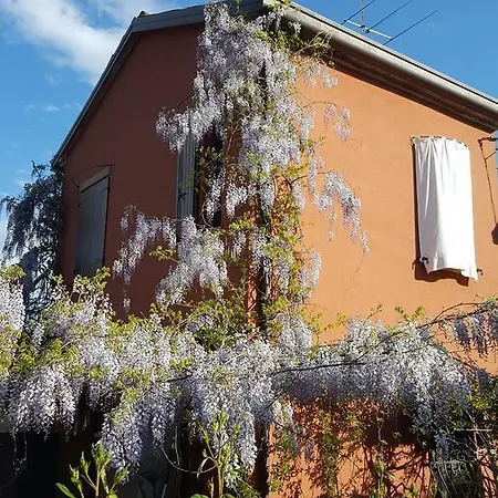 La Rosa Antica Gradara