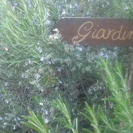 La Rosa Antica Oda ve Kahvaltı Gradara