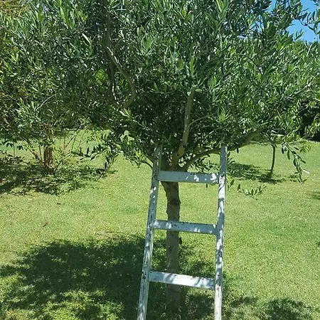 Bed and breakfast La Rosa Antica Gradara
