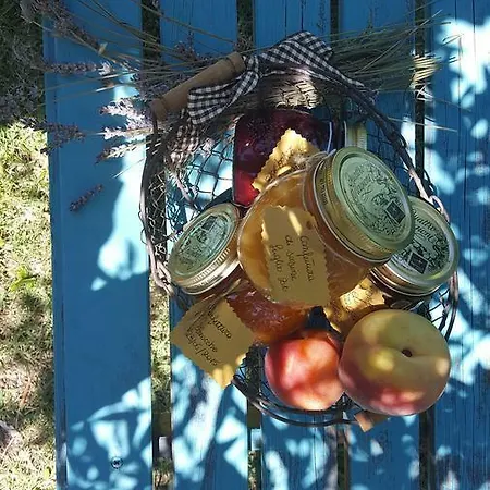 La Rosa Antica *